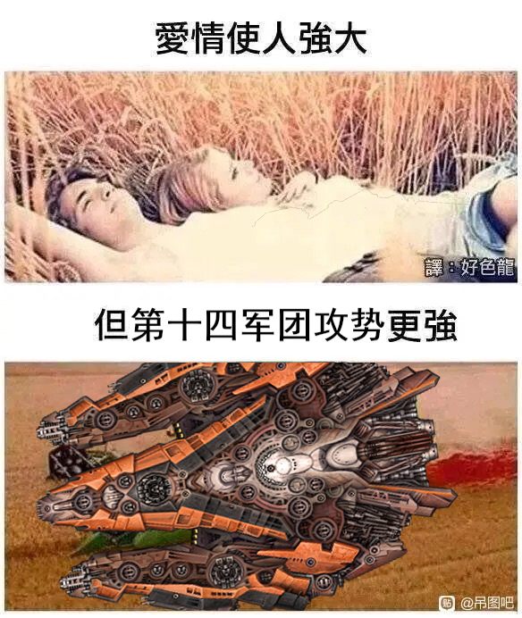 远星memesIMG_638020240226-074648.JPG